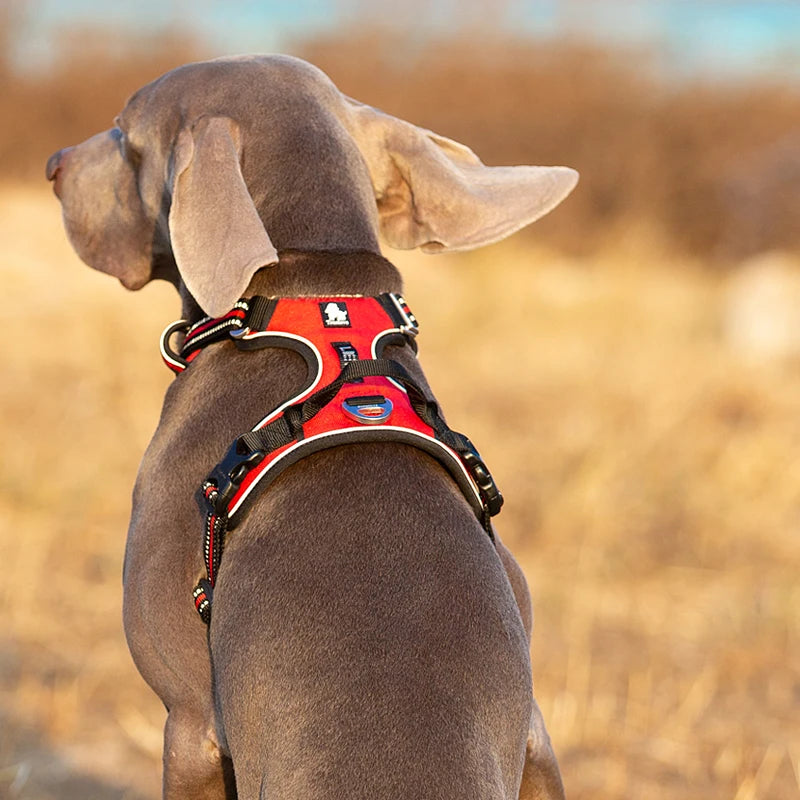 TrueLove Reflective Nylon Dog Harness No Pull Adjustable Pet Vest