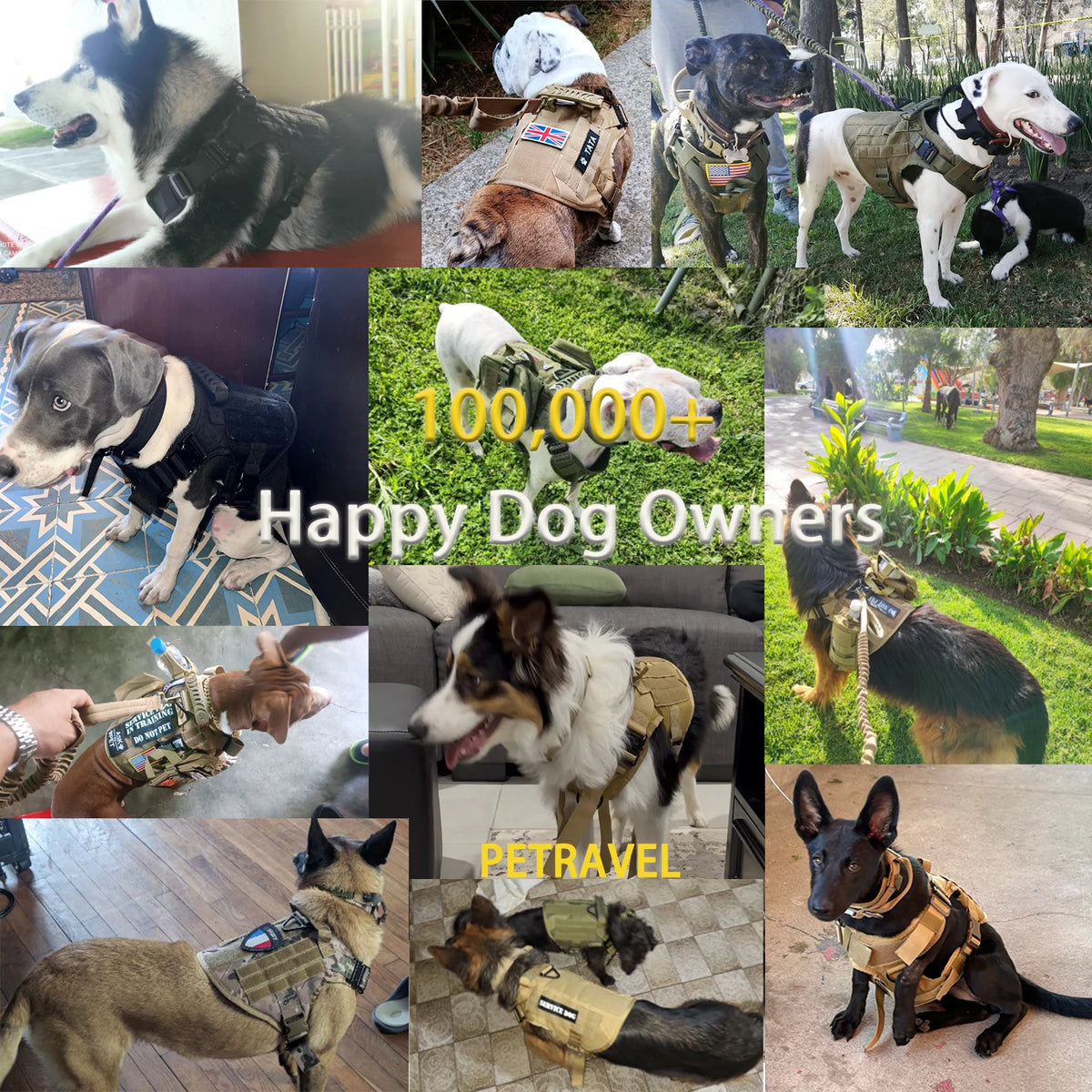 Tactical Nylon Dog Harness With Padded Support During Walks