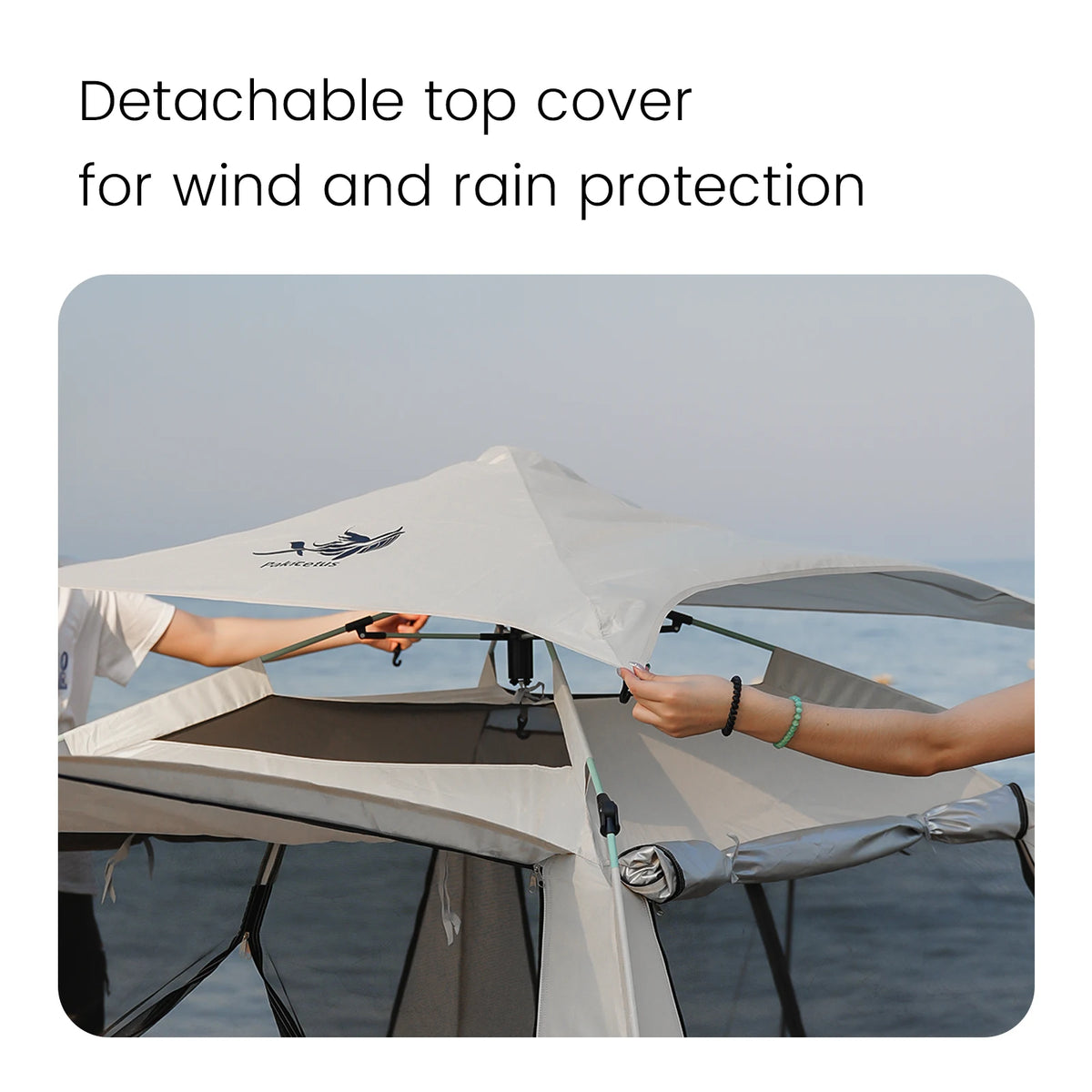 Pakicetus Pop Up Camping Tent With Double Doors And Ventilation