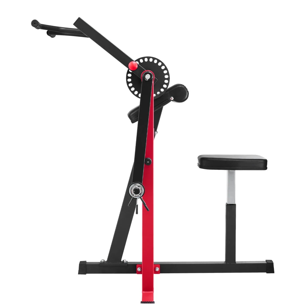 Two In One Preacher Curl Bench For Bicep And Triceps