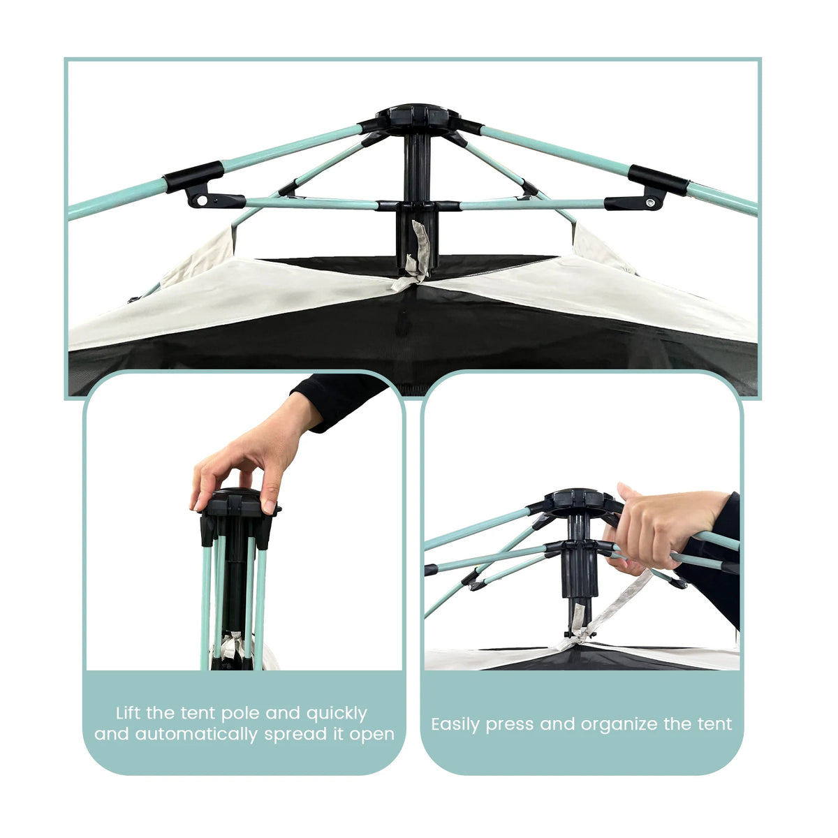 Pakicetus Pop Up Camping Tent With Double Doors And Ventilation