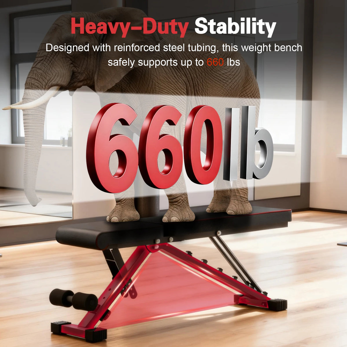 Adjustable Multifunctional Dumbbell Weight Bench For Home Gym