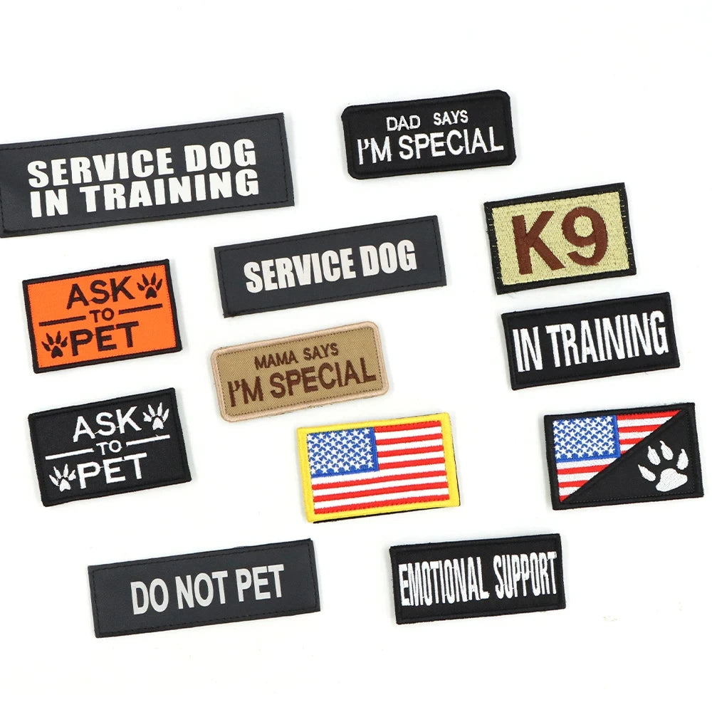 Padded Nylon Tactical Dog Harness Collar Leash Set With Patches